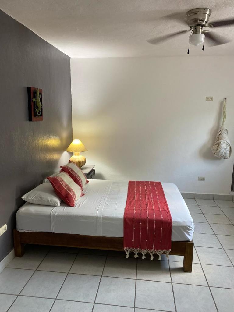 Caribo Cozumel Hotel Room photo